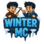 wintermc.pl - ikona serwera Minecraft