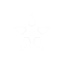 starvide.pl - ikona serwera Minecraft