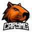 capymc.pl - ikona serwera Minecraft