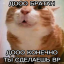fierce.povezlopovezlo.ru - ikona serwera Minecraft