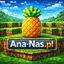 ana-nas.pl - ikona serwera Minecraft