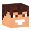 wojanowicemc.pl - ikona serwera Minecraft