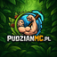 pudzianmc.pl - ikona serwera Minecraft