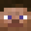 centralny.csrv.pl - serwer Minecraft